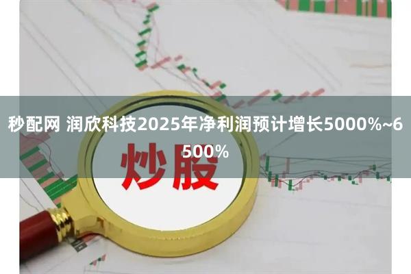 秒配网 润欣科技2025年净利润预计增长5000%~6500%