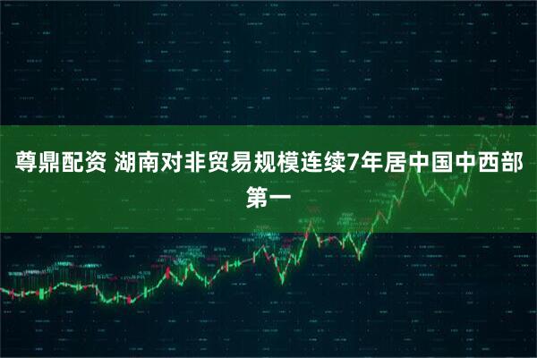 尊鼎配资 湖南对非贸易规模连续7年居中国中西部第一